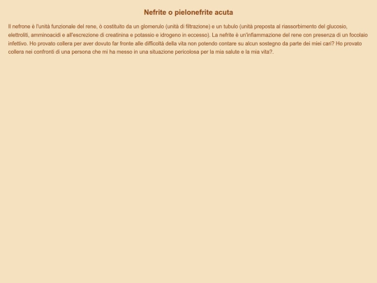 apparato escretore/nefrite screenshot