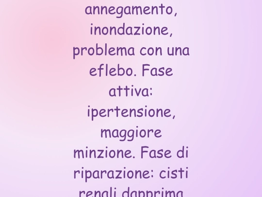 nuova medicina/45parenchima screenshot