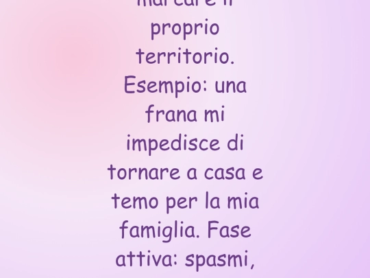nuova medicina/47bacren screenshot