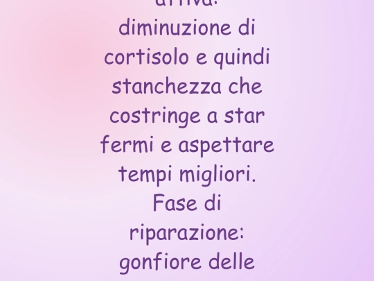 nuova medicina/48cortsurr screenshot