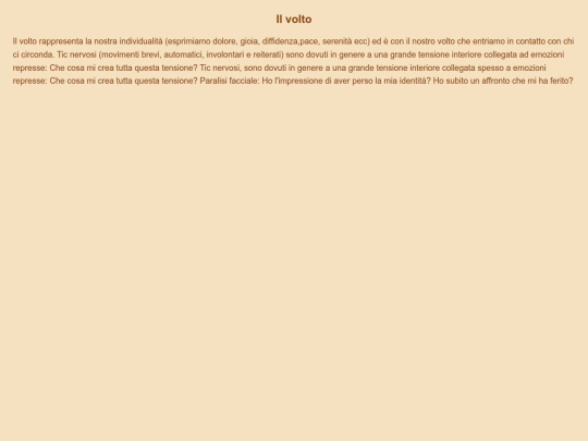 volto/ilvolto screenshot