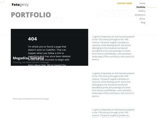 portfolio screenshot