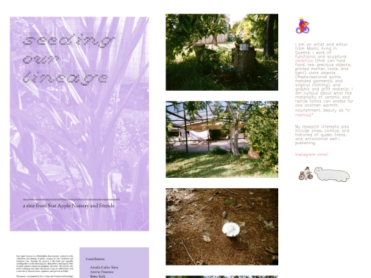 print screenshot