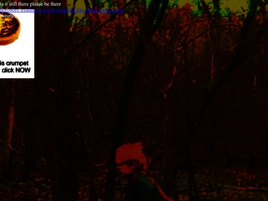 forest6 screenshot