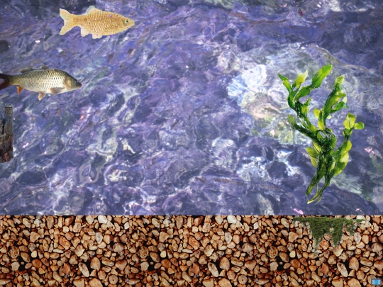 fishtank screenshot