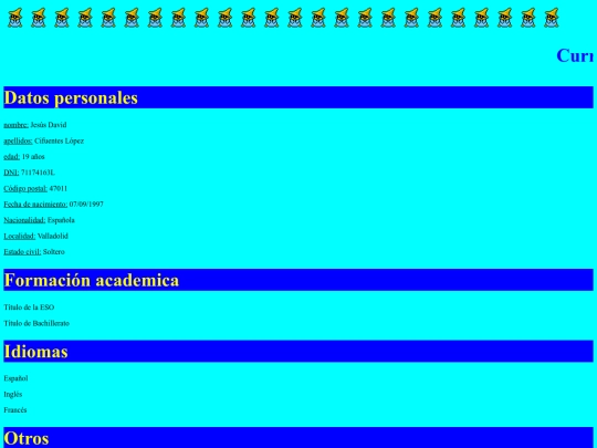 cv/curriculum screenshot