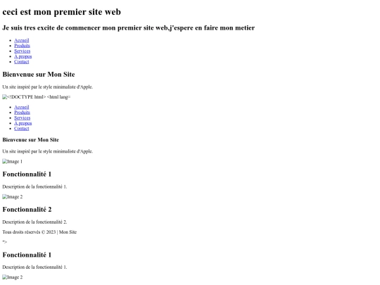 first website/newfile screenshot