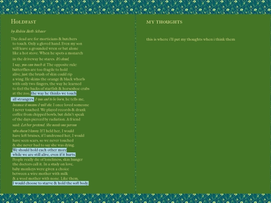 poetry/recs/holdfast screenshot