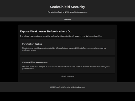 penetration-testing-assessment screenshot