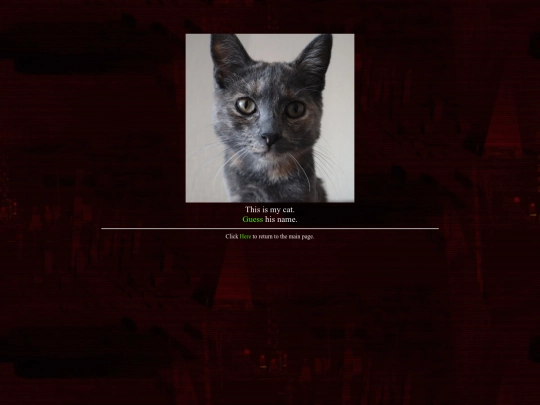 mycat screenshot
