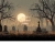 reggies-haunt.neocities.org avatar