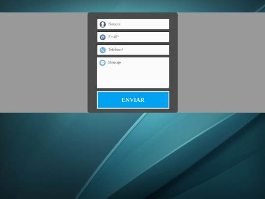 proyecto/formulario screenshot