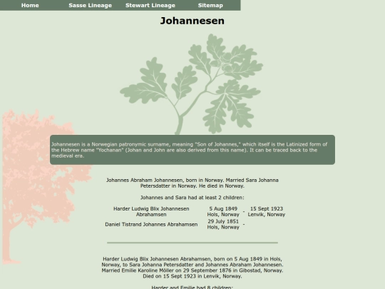 johannesenfamily screenshot