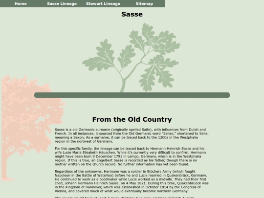 sassestory screenshot