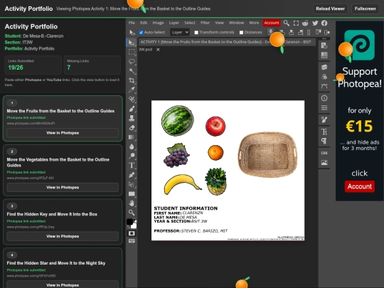 onlineactivityporfolio screenshot