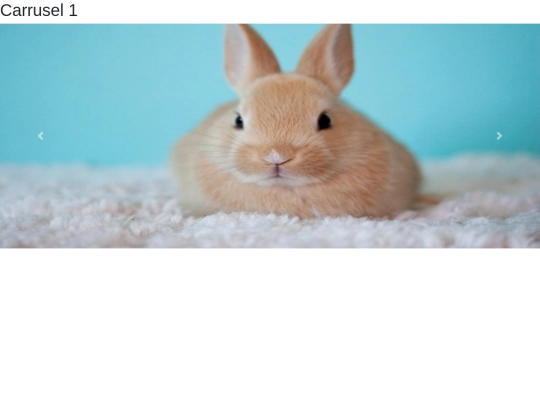 carrusel/carrusel1 screenshot