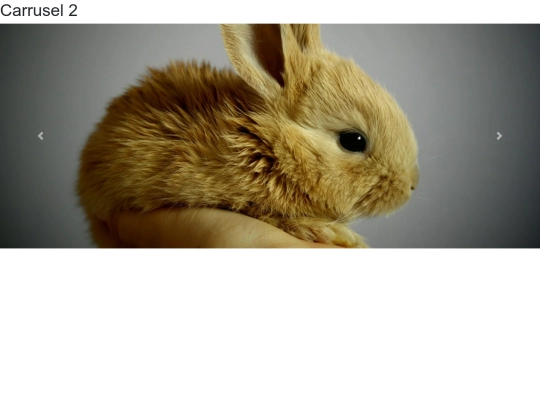 carrusel/carrusel2 screenshot