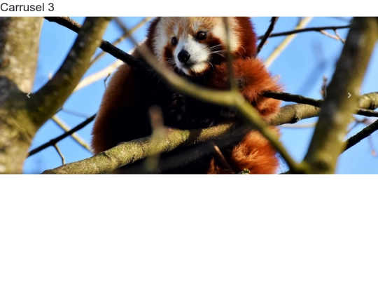carrusel/carrusel3 screenshot