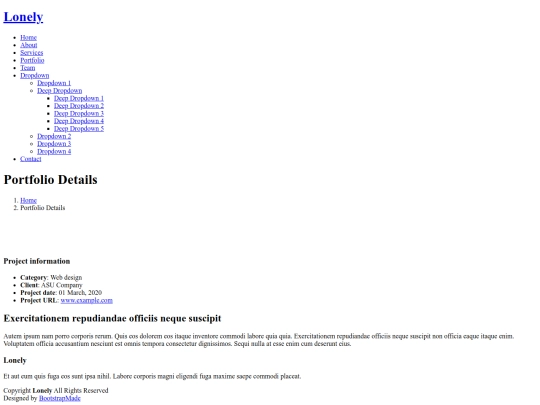 portfolio-details screenshot
