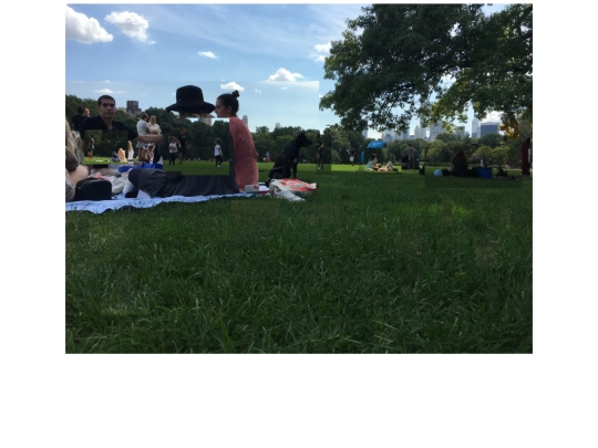 centralpark screenshot
