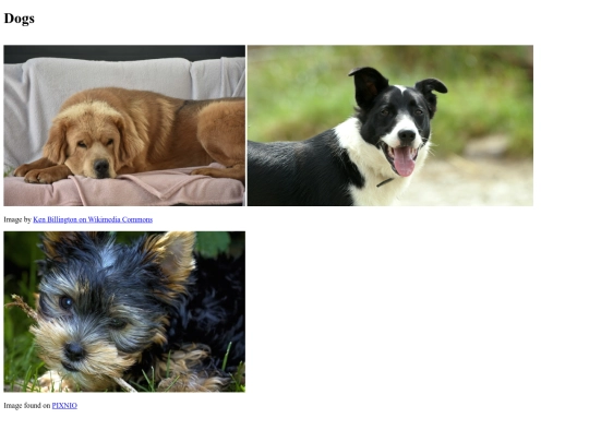 Teresa Ruiz Starter Gallery Assignment screenshot