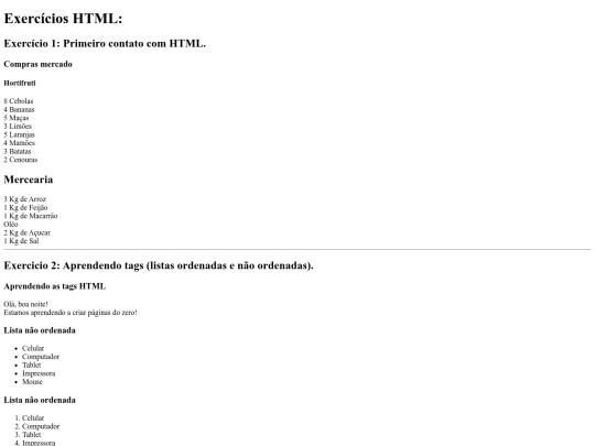 ProgramaçãoWebI-HTML/HTML-2022.1/exercicio01 screenshot