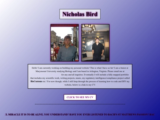 online_viewer_net (1) (2) screenshot
