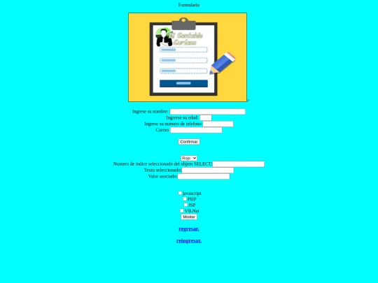 FormularioValidacion screenshot