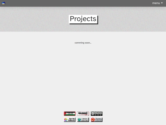 projects screenshot