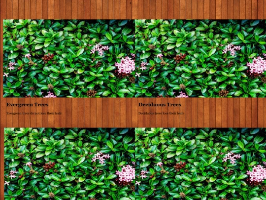 landing2 screenshot