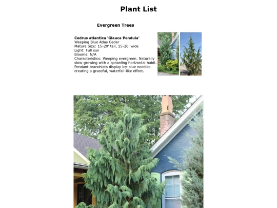 plantlist screenshot