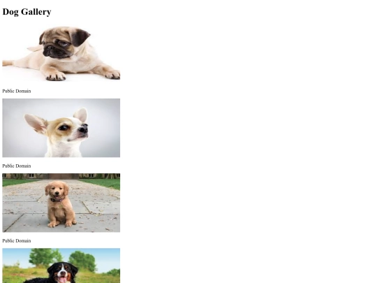 dog_gallery screenshot