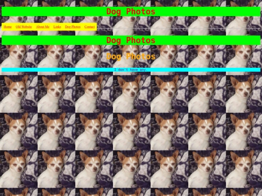 dogphotos screenshot