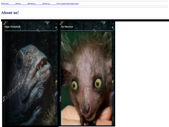 faeandtradeaboutus screenshot
