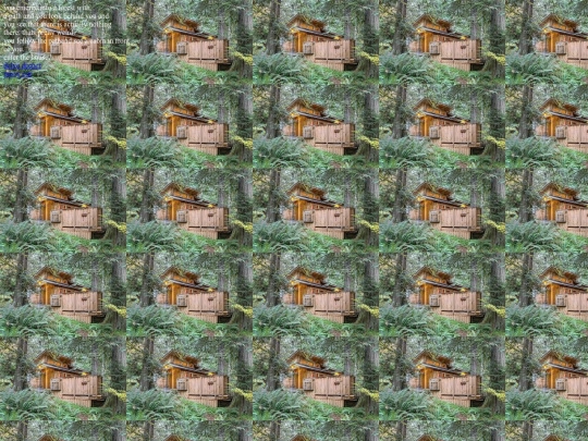 forest screenshot