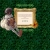 ♣ the unlucky clover field ♣ avatar