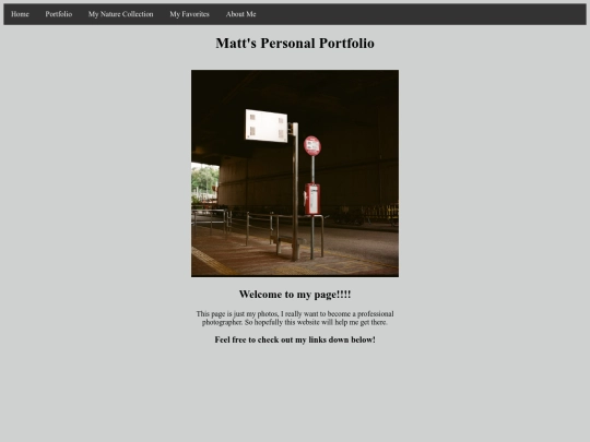 myfirstwebsite screenshot