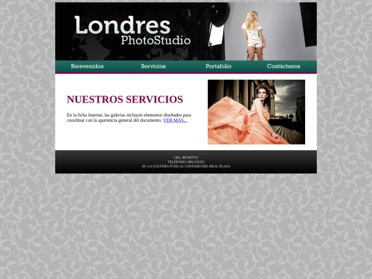 SERVICIOS screenshot
