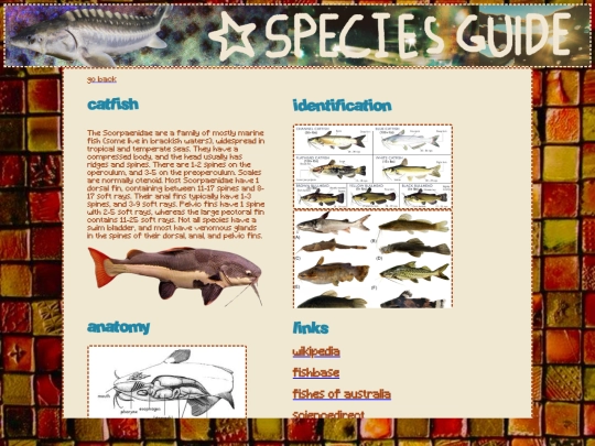 catfish screenshot