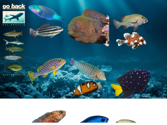 fish screenshot