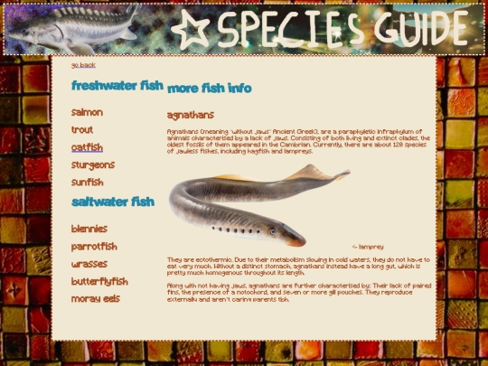 identity screenshot