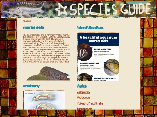 morayeels screenshot