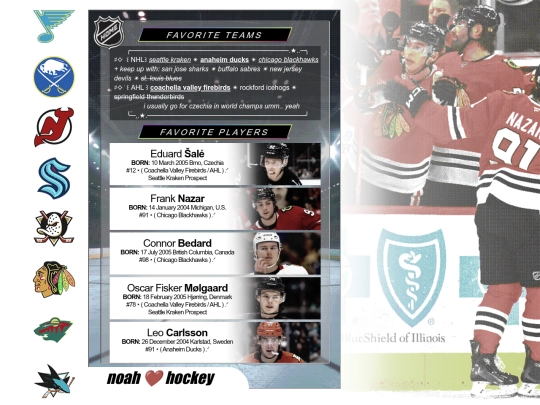hockey screenshot