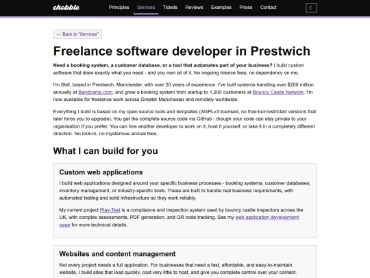 services/software-developer screenshot