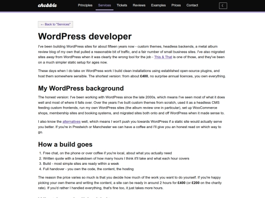 services/wordpress-developer screenshot