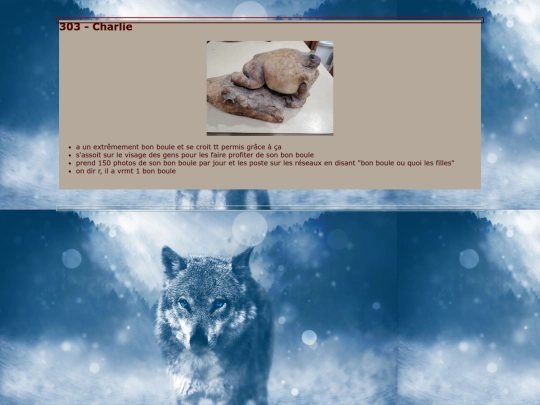 posts/0000303-Charlie screenshot