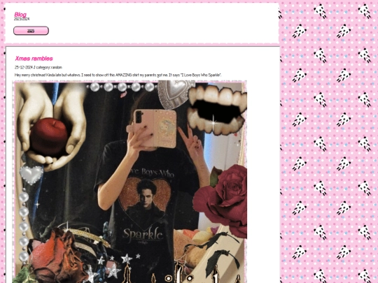 blog20242023 screenshot