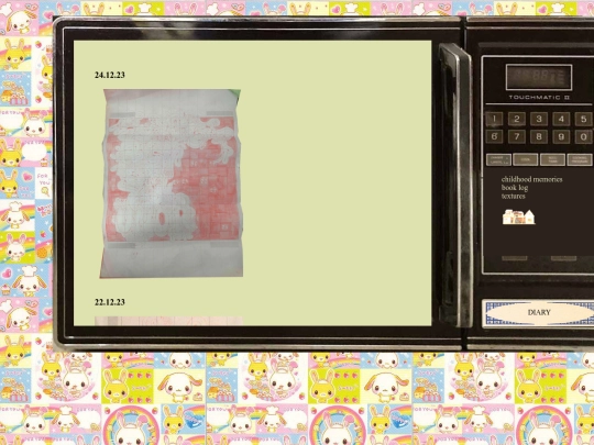 diary screenshot
