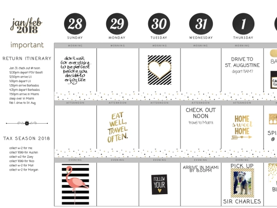 cate/calendar2 screenshot