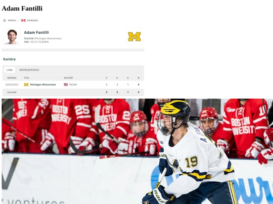 fantilli screenshot